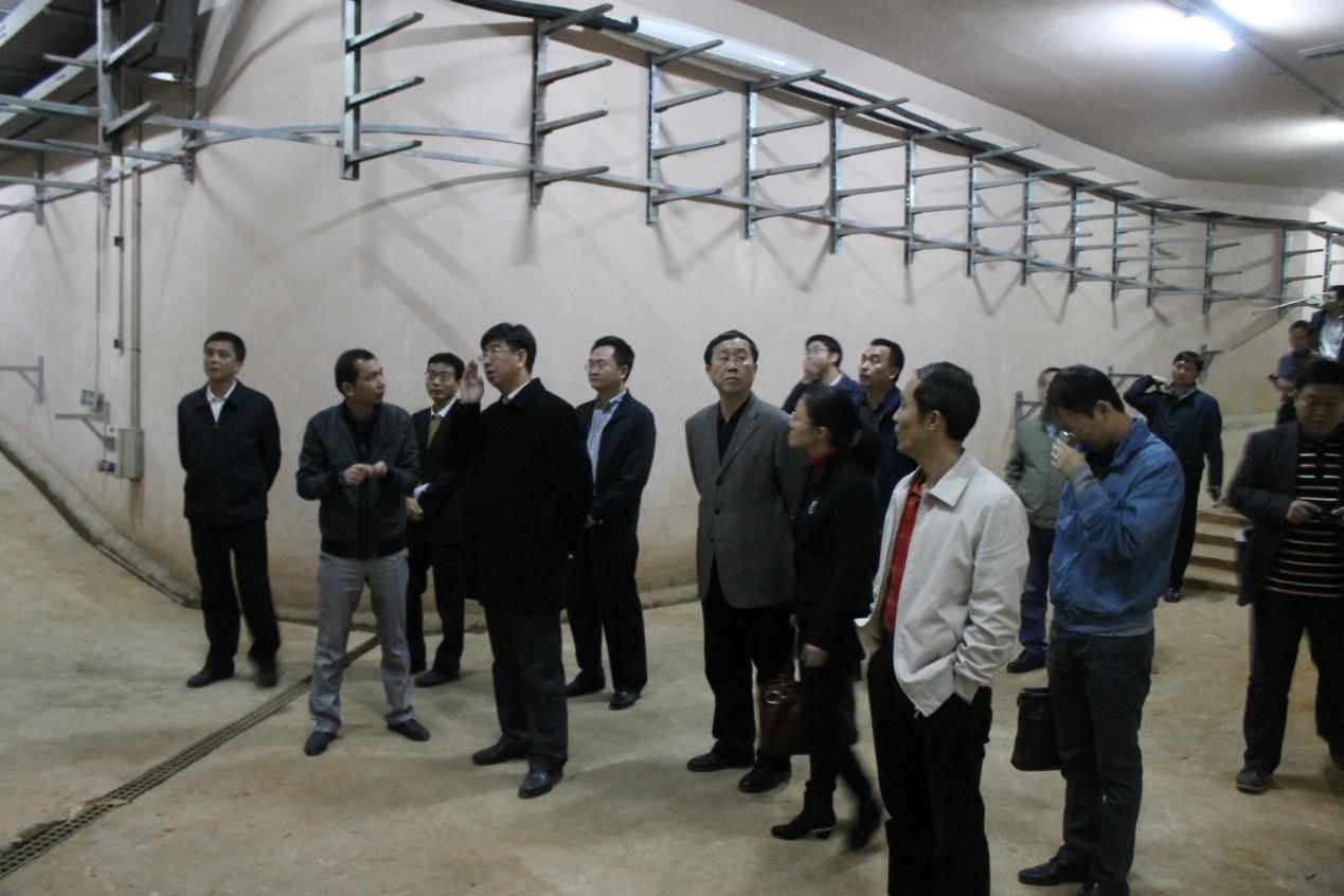 6688����-ȫ����Ȩ��������������ֱ���������ƽ̨_6688�ۡ�