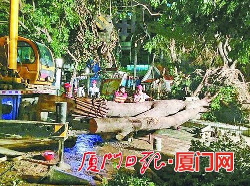 6688����-ȫ����Ȩ��������������ֱ���������ƽ̨_6688�ۡ�