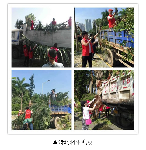 6688体育-全网最权威热门体育赛事直播免费在线平台_6688综…