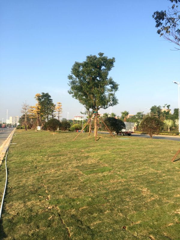 6688����-ȫ����Ȩ��������������ֱ���������ƽ̨_6688�ۡ�