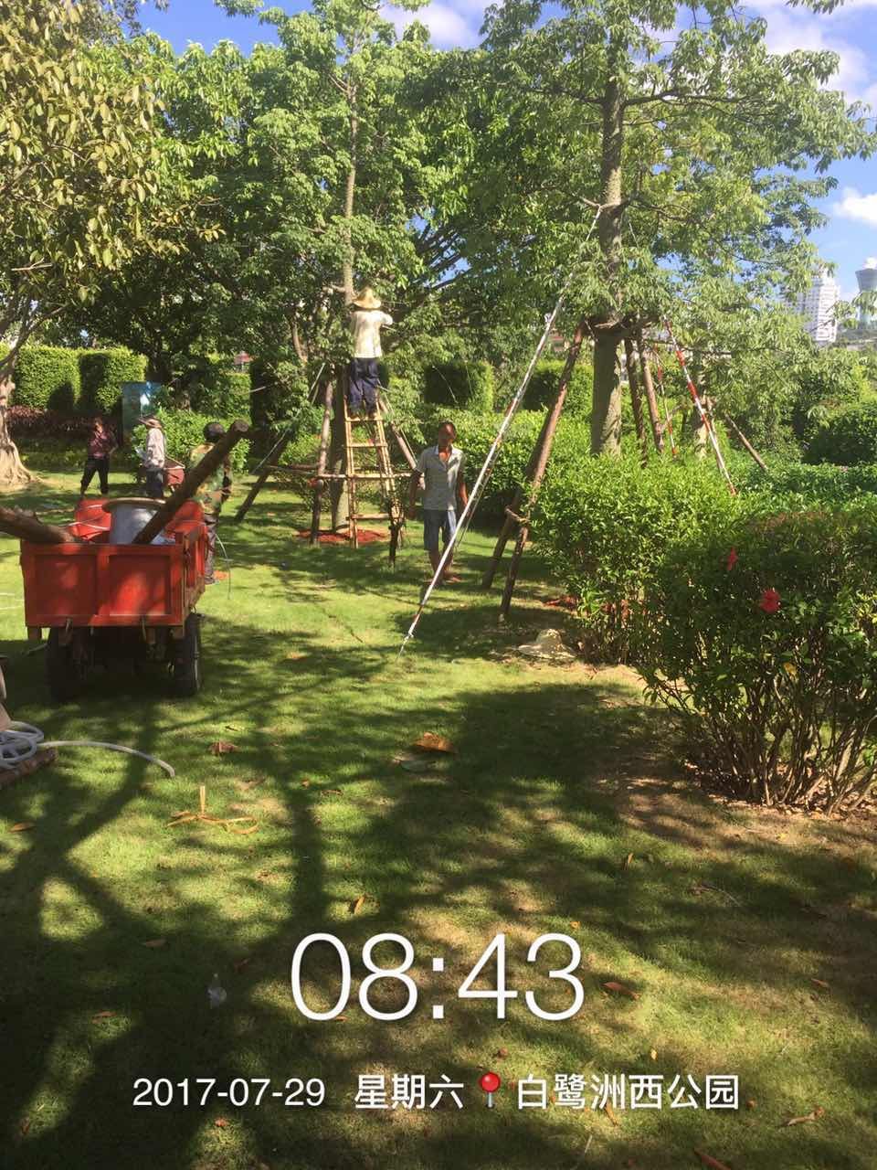 6688����-ȫ����Ȩ��������������ֱ���������ƽ̨_6688�ۡ�