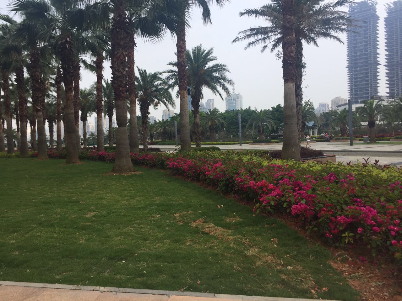 6688����-ȫ����Ȩ��������������ֱ���������ƽ̨_6688�ۡ�