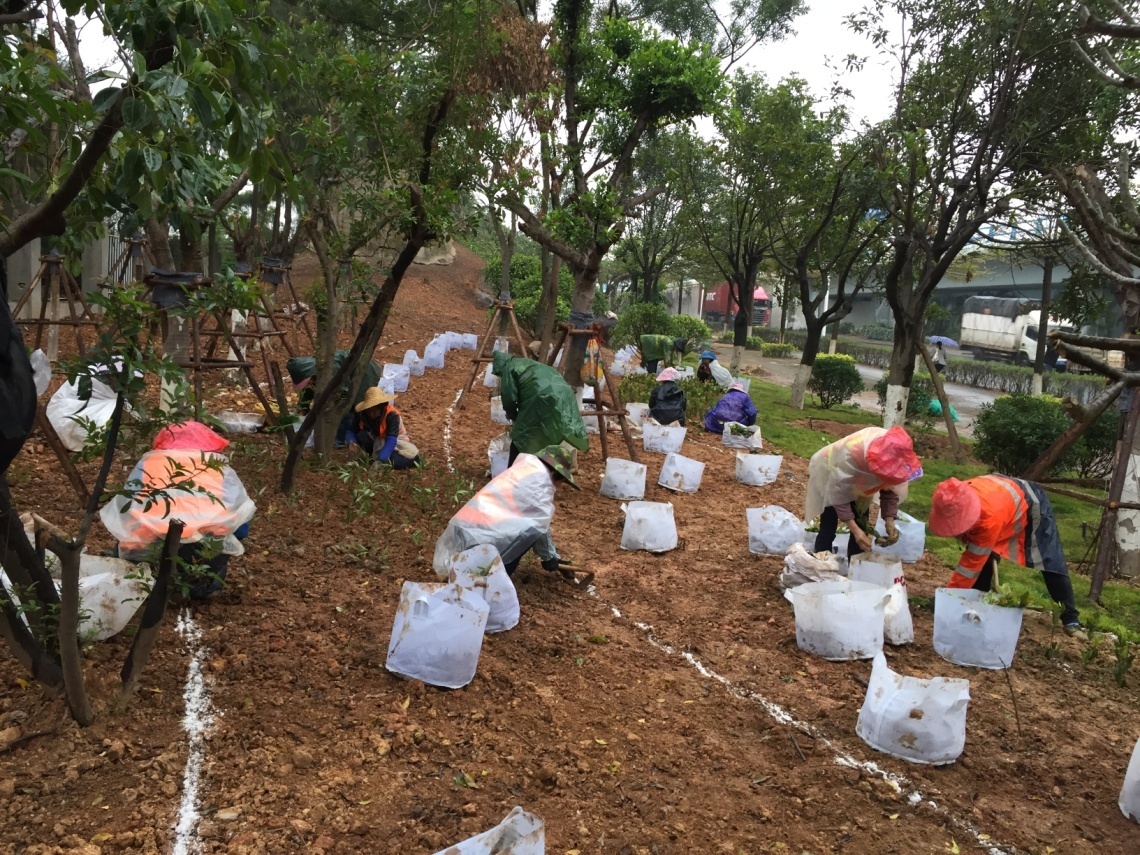 6688����-ȫ����Ȩ��������������ֱ���������ƽ̨_6688�ۡ�