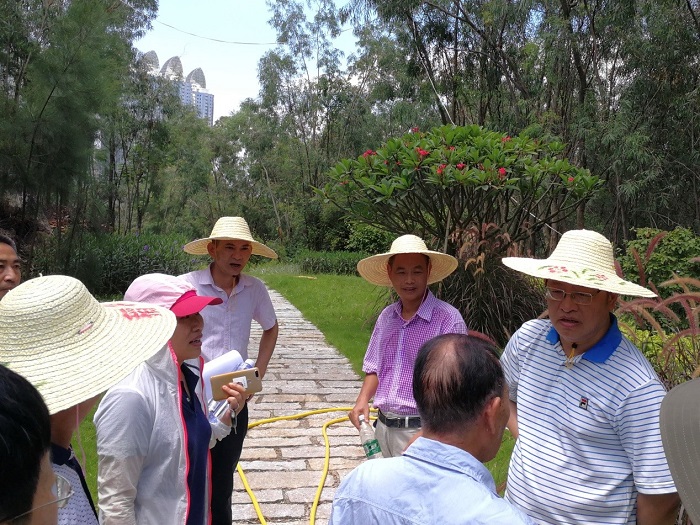 6688����-ȫ����Ȩ��������������ֱ���������ƽ̨_6688�ۡ�