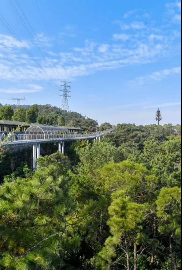 6688����-ȫ����Ȩ��������������ֱ���������ƽ̨_6688�ۡ�