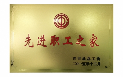 资质荣誉-东升国际官网,电子式电能,智能电能表,智能开关,智能AMI系统,物联网解决规划,官方网站