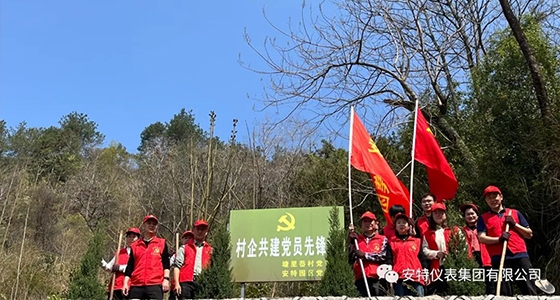 党建强引领，共植前锋林