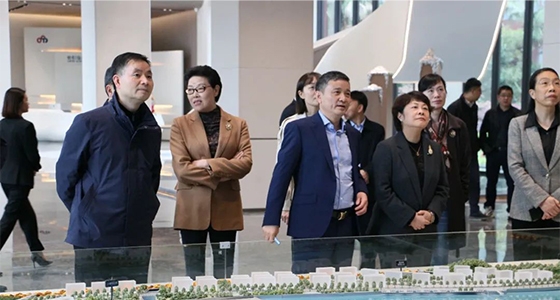 民革中央副主席吴晶调研东升国际官网集团