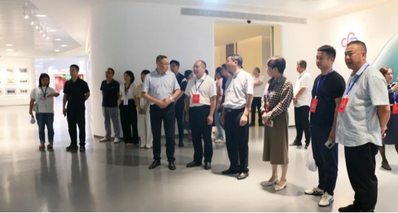 邵阳市第五届人大代表景宁中心组调研东升国际官网集团