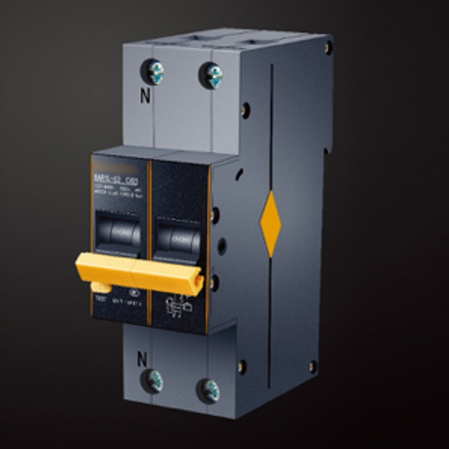 BAB1L-63M/CXX1N/1R1 智能双安全空开